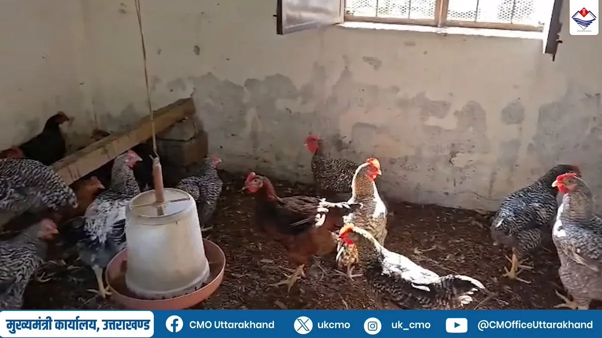 Uttarakhand CM Office: Pithoragarh farmer goes self-reliant via broiler scheme