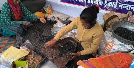 उत्तराखंड : ग्रामीण आजीविका मिशन से चमोली की महिलाएं हो रही आत्मनिर्भर, आर्थिक रूप से हुईं सुदृढ़