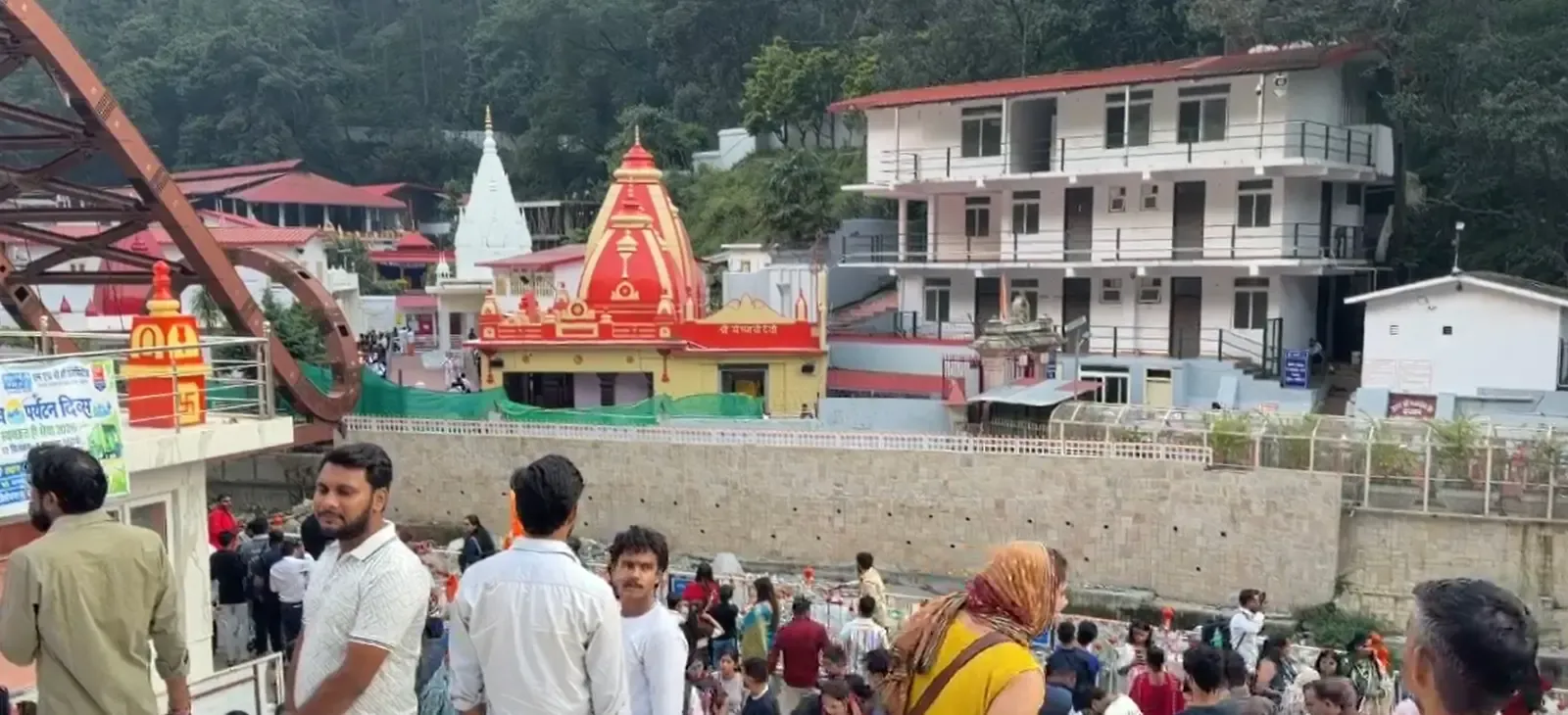 कैंचीधाम में गौरैया लगभग गायब, ध्वनि प्रदूषण से पक्षी विविधता पर संकट