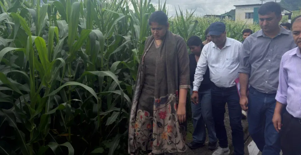 टिहरी के कॉर्न विलेज सैंजी में CDO वरुणा अग्रवाल का दौरा, स्वीट कॉर्न खेती को मिला प्रशासनिक बल