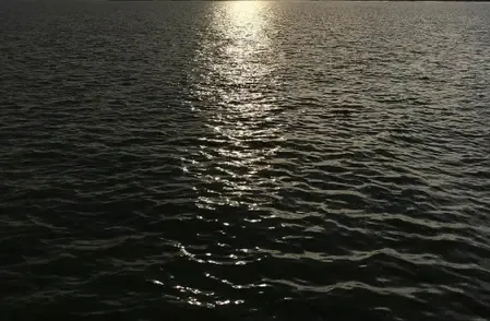 Has Veeranam Lake Reached Full Capacity, Enhancing Chennai's Water Supply?