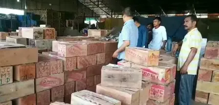 विदेशी सेबों ने बिगाड़ा उत्तराखंड के सेब का स्वाद, मौसम की मार से भी किसान परेशान