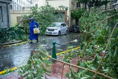 वियतनाम में बुआलोई तूफान ने 51 लोगों की ली जान, 14 लोग अब भी लापता; 608 मिलियन यूएसडी नुकसान का अनुमान 