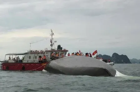 Phu Quoc boat tragedy: Vietnam PM orders probe into deaths of 15 Indians