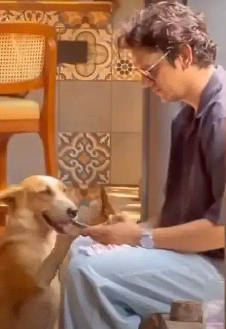 Vijay Varma's hilarious take on nationwide disaster alert goes viral