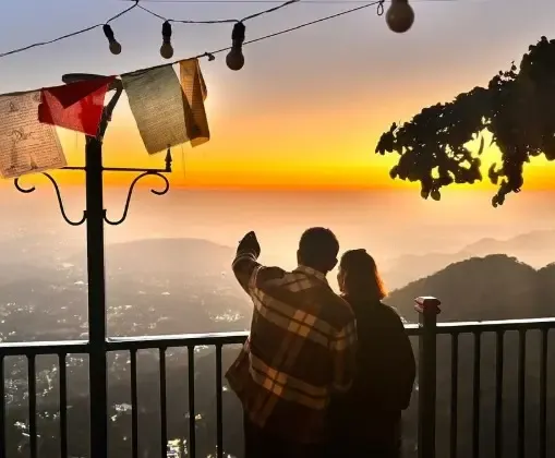 Did Vikrant Massey Just Declare His Love for Wife Sheetal on Her Birthday?