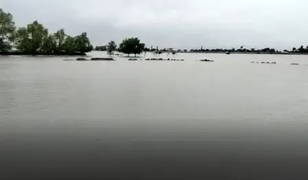 Bangladesh's Satkhira District Faces Flooding During Eid Festivities as River Embankments Fail