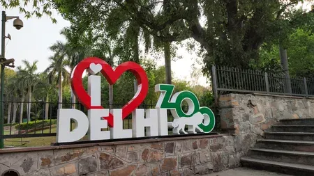 विश्व सर्प दिवस 2026: दिल्ली चिड़ियाघर में 900 से अधिक लोगों ने लिया हिस्सा, भारतीय कोबरा के तीन शावकों का सफल जन्म