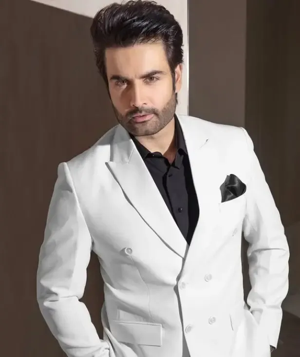 विवियन डीसेना ने फिर से पिता बनने की खुशी साझा की, बोले- 'इस बार राजकुमार का स्वागत किया'