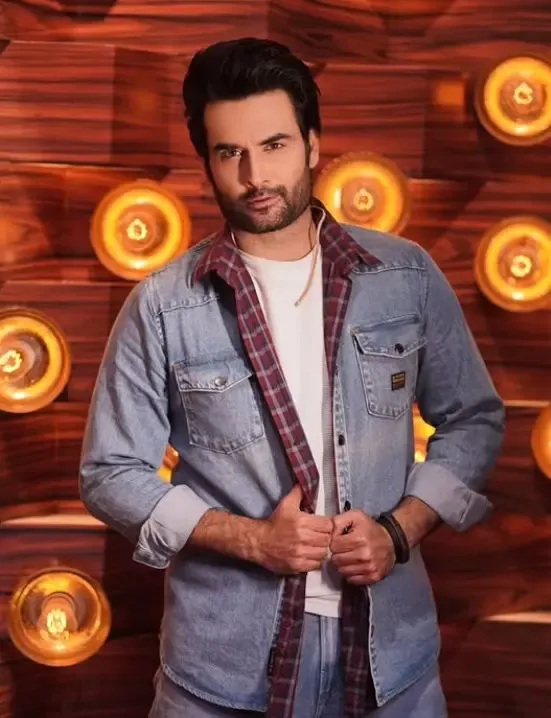 क्या विवियन डीसेना ने 'लाफ्टर शेफ्स' छोड़ा? अभिनेता नई फिक्शन शो की तैयारी में जुटे हैं