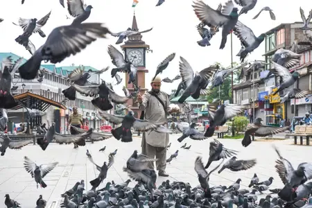 What Is the Voice from Kashmir Beyond Silence and Slogans?
