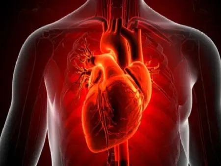 व्यायाम से नींद तक: हृदय को सुरक्षित और मजबूत रखने के 6 सरल उपाय