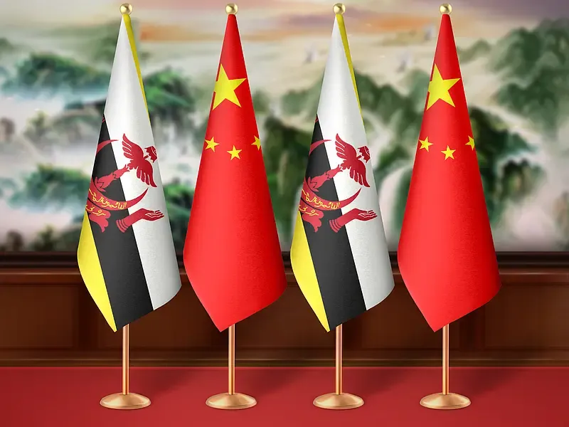 ब्रुनेई के 42वें राष्ट्रीय दिवस पर वांग यी ने विदेश मंत्री को भेजा बधाई संदेश