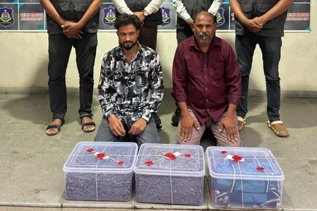 Ahmedabad Crime Branch seizes 9.8 kg ganja, arrests wanted Maharashtra man
