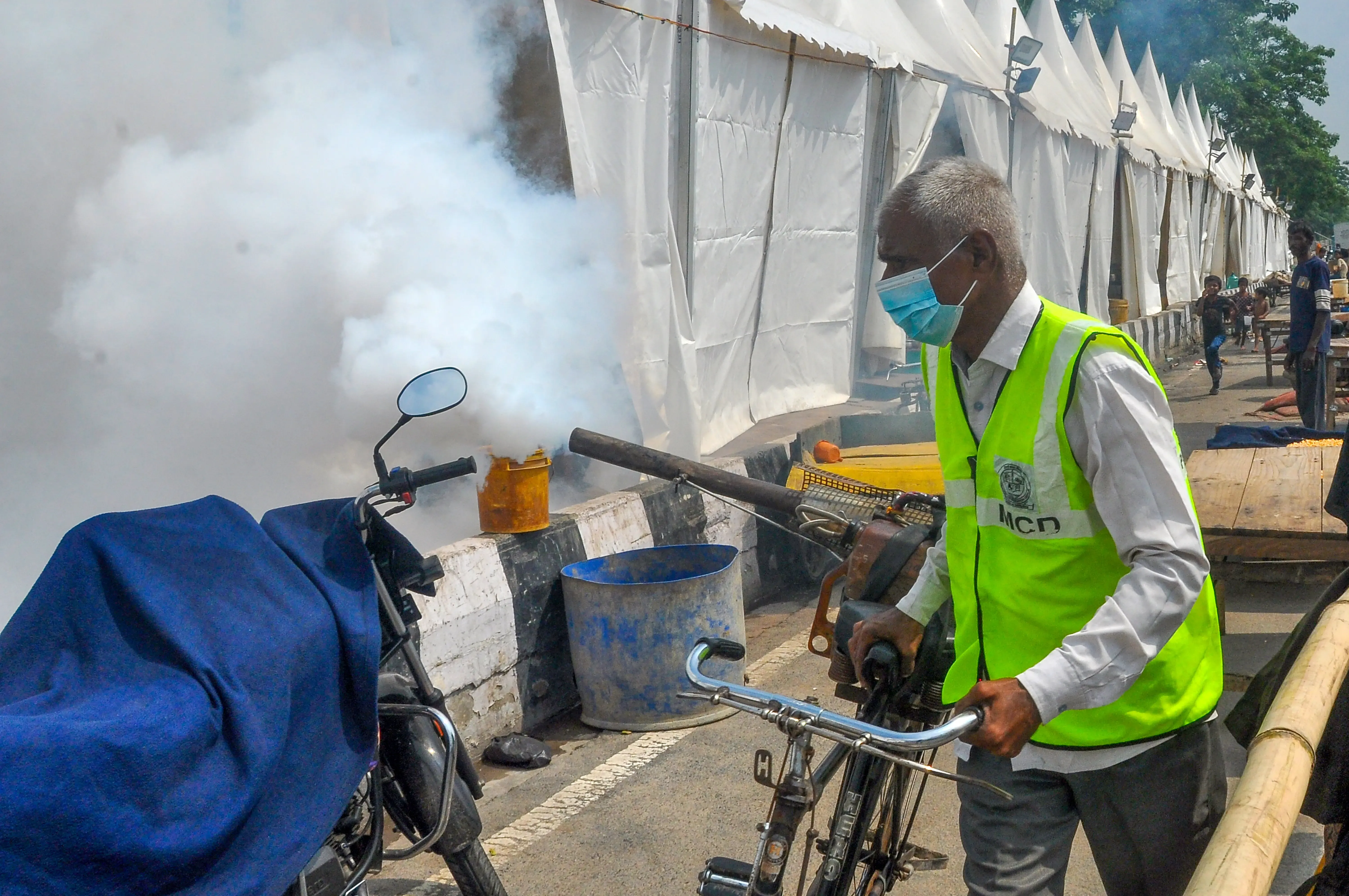 Will Warming Climate Cause Dengue Cases to Increase by 76% Across Asia and the Americas by 2050?