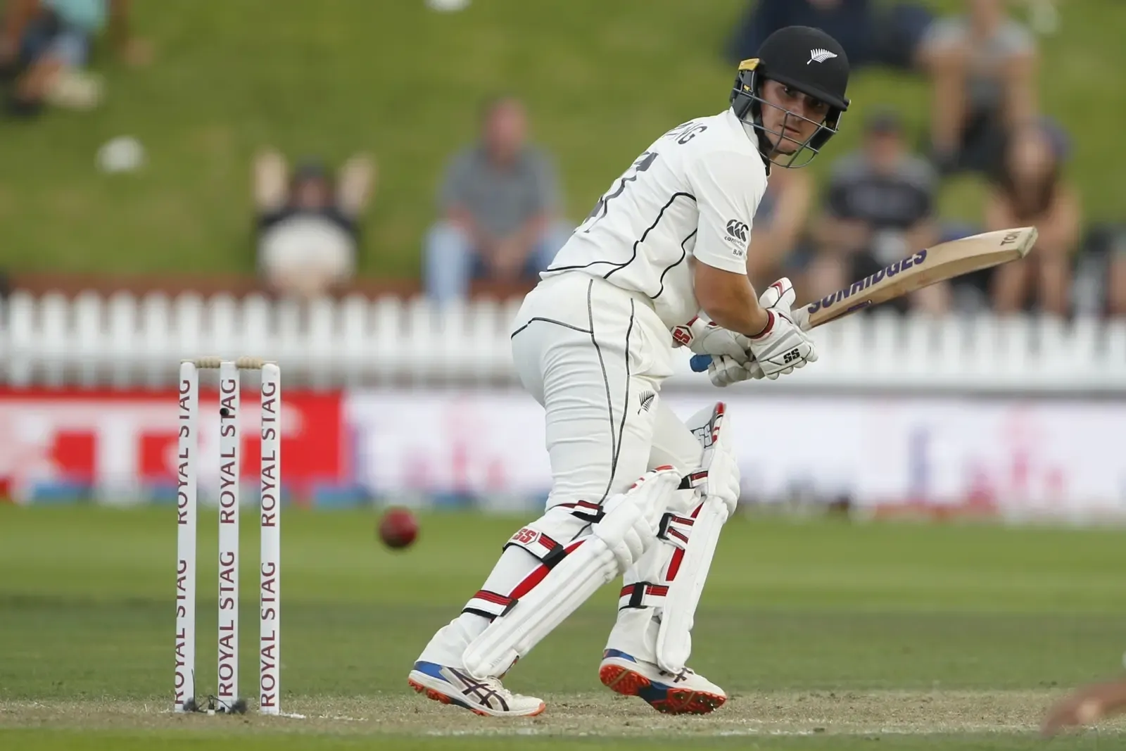 BJ Watling eyes Australia Tests, ODI World Cup as New Zealand batting coach