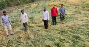 Severe Weather Alert for Madhya Pradesh: Farmers Advised