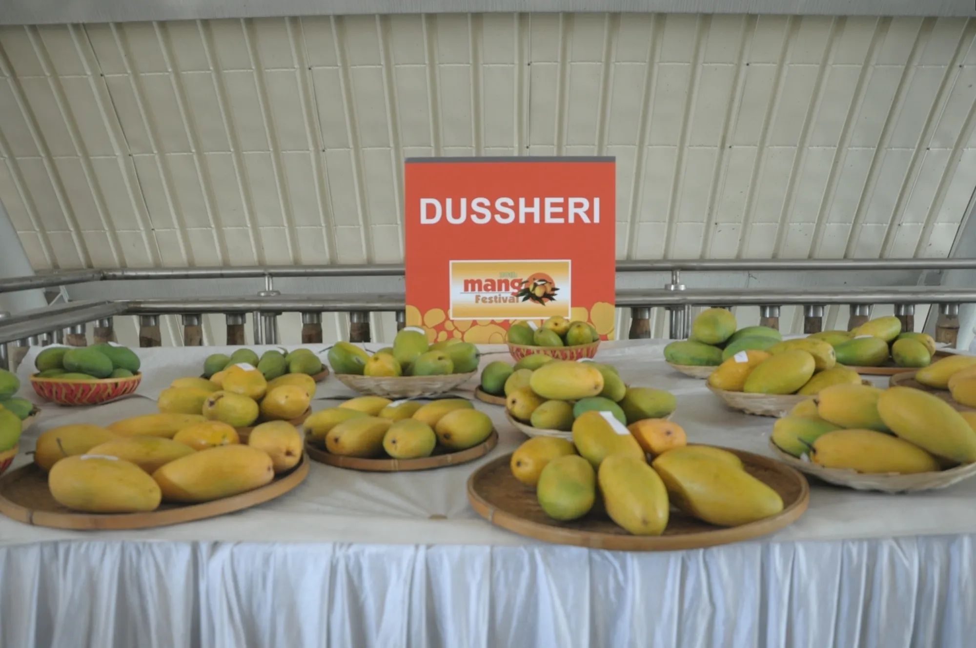 Impact of West Asia Conflict on India's Handicrafts and Mango Exports
