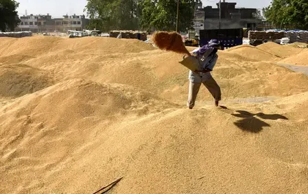 MP extends wheat MSP procurement to May 23, pays ₹11,610 crore to farmers