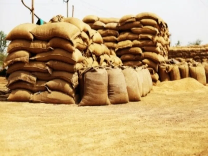 Has wheat procurement in UP surpassed 10.27 lakh metric tonnes in 2025–26?