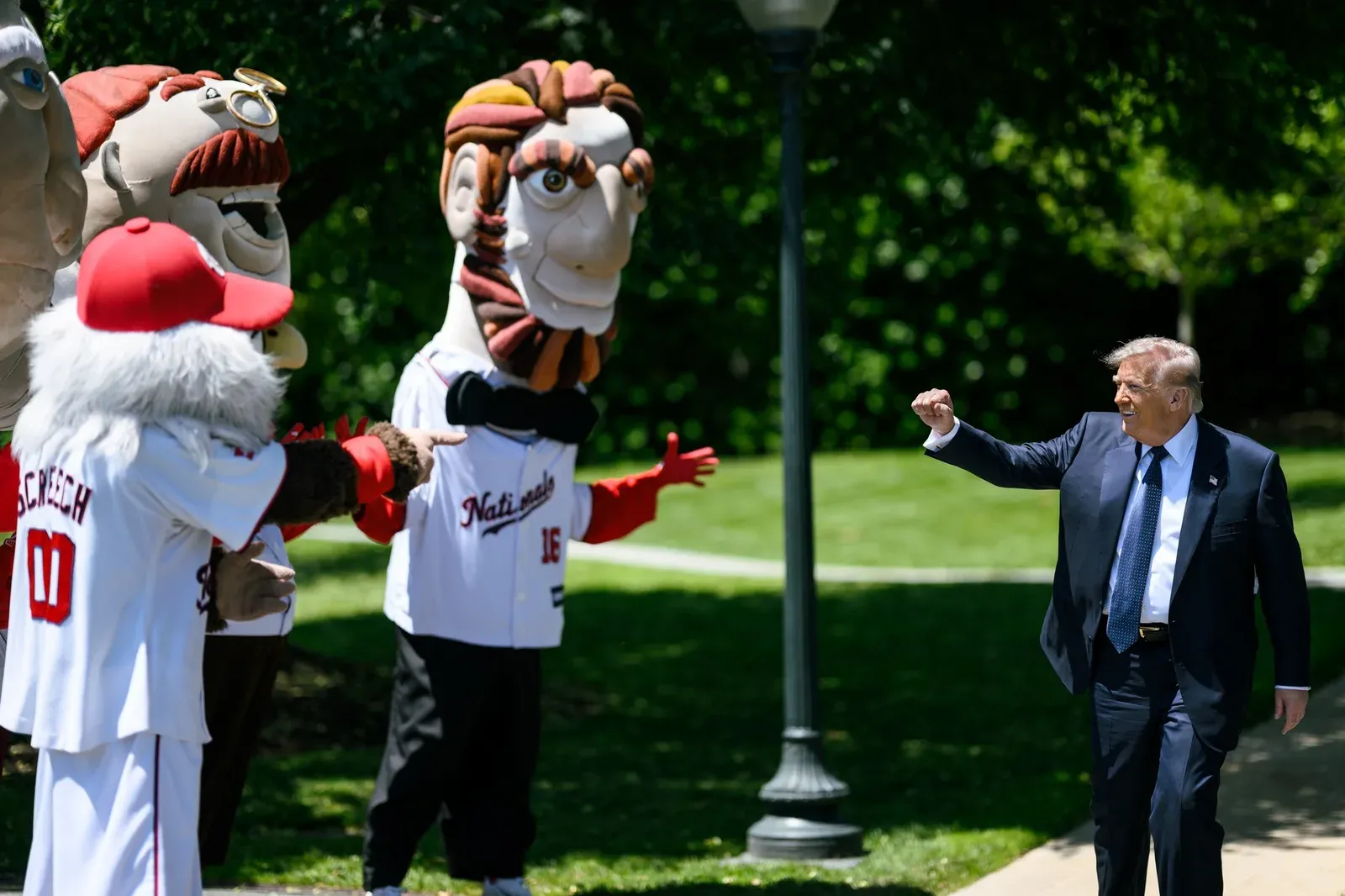 White House Posts Casual Meme on X: 'It is Wednesday my dudes'