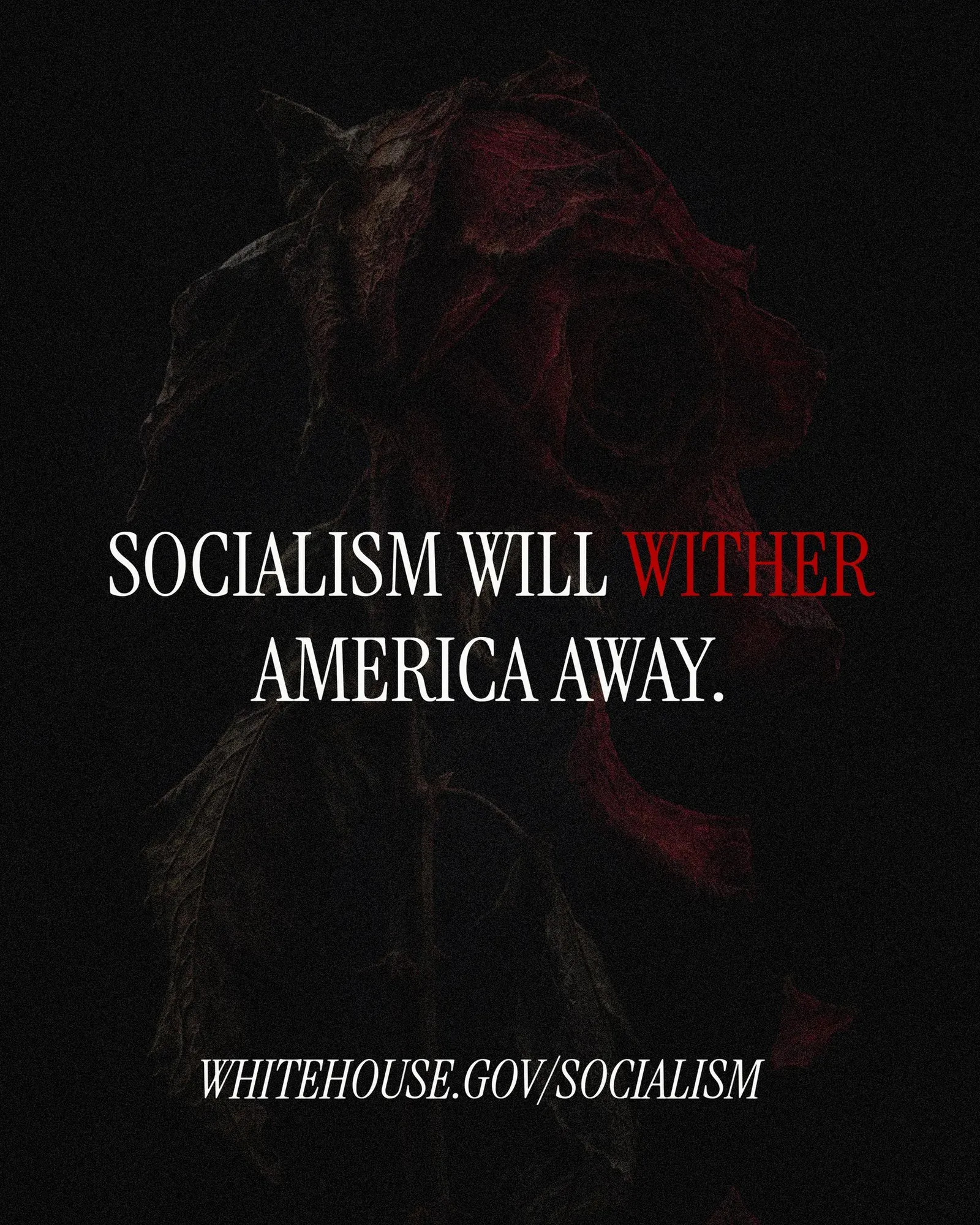 White House Warns Socialism Threatens Economy and American Values