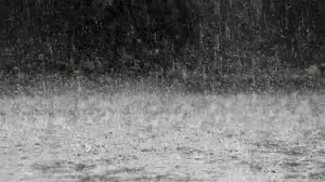 Odisha rainfall damage: 15,000 evacuated, normalcy in 48 hours, says minister
