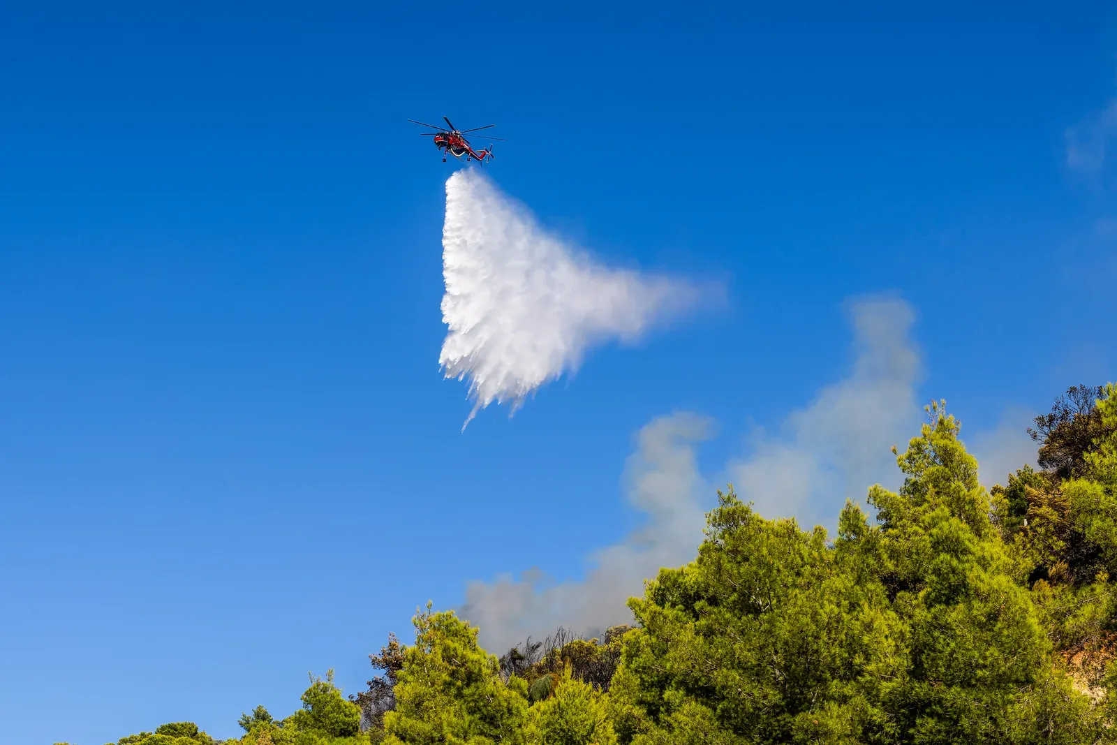 Belgium wildfire burns 900 hectares in High Fens, still out of control
