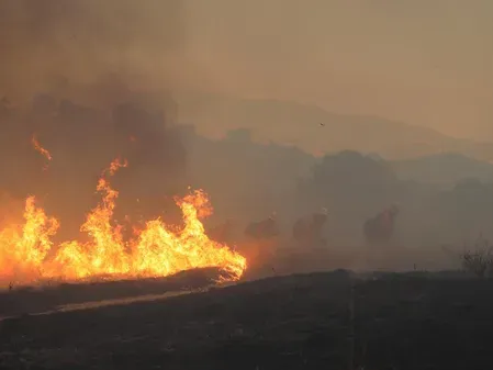 Nevada Hawk Fire burns 15,000 acres near Reno, destroys 32 homes, injures 7