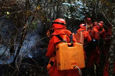 What is Causing the Wildfire Raging in Yunnan, China?