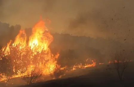 What is the impact of wildfires on Etosha National Park in Namibia?