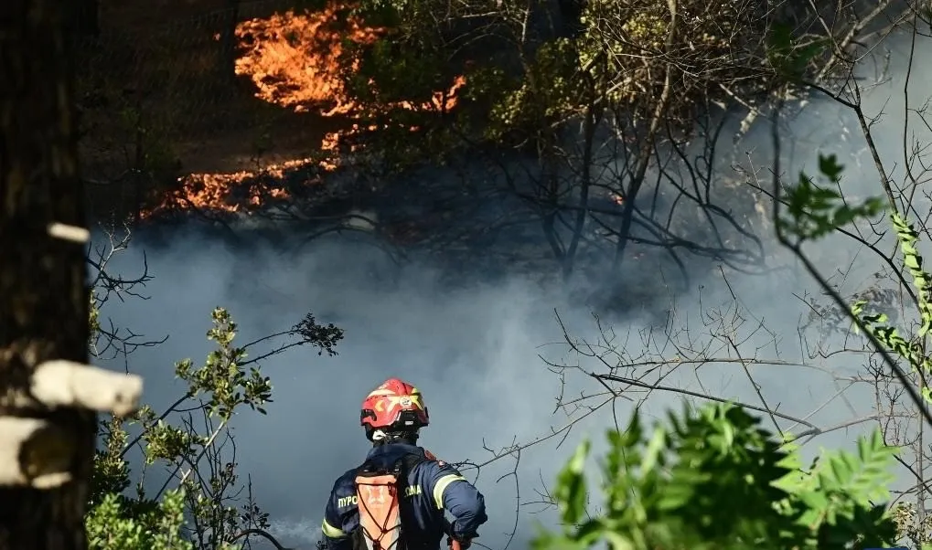 Are Wildfires Devastating Greece, Leading to Mass Evacuations?