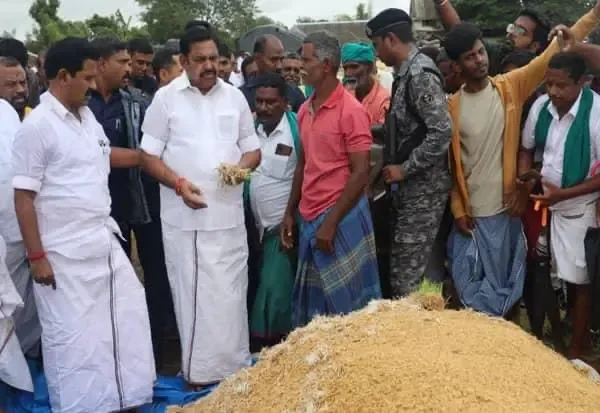 Will Palaniswami Address the Paddy Procurement Issues for Farmers?