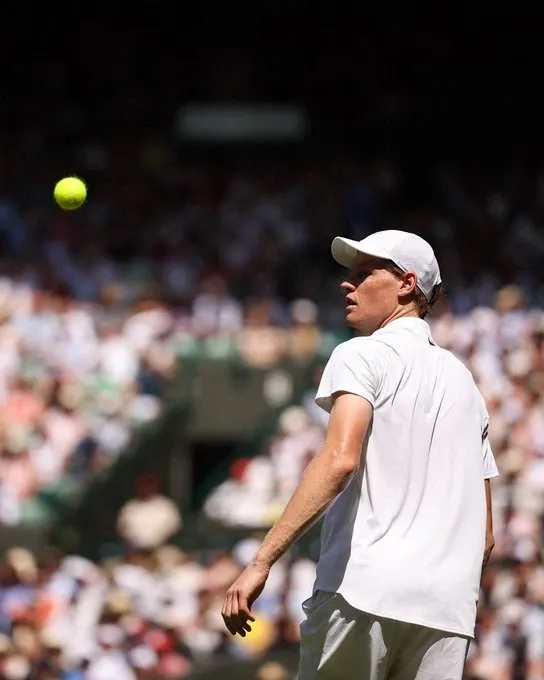 Did Jannik Sinner dominate Luca Nardi at Wimbledon 2025?