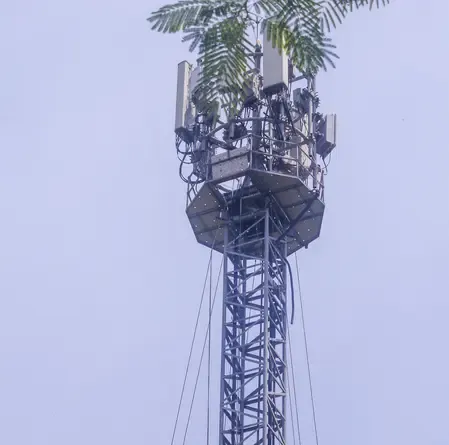 Bihar Woman Climbs Mobile Tower to Demand Boyfriend's Release