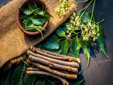 वर्ल्ड ओरल हेल्थ डे: दातुन के अद्भुत लाभ, नीम से जामुन तक, मौसम के अनुसार चुनें