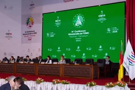 WTO's 14th Ministerial Conference Charts Future Discussions