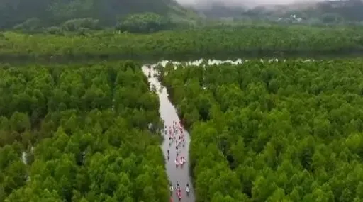 शी चिनफिंग ने SCO हरित व सतत विकास मंच को बधाई पत्र भेजा, 25वीं वर्षगांठ पर हरित सहयोग का आह्वान