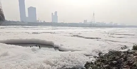 यमुना नदी का होगा कायाकल्प, दिल्ली जल बोर्ड ने 917 करोड़ के सीवेज ट्रीटमेंट प्रोजेक्ट को दी मंजूरी