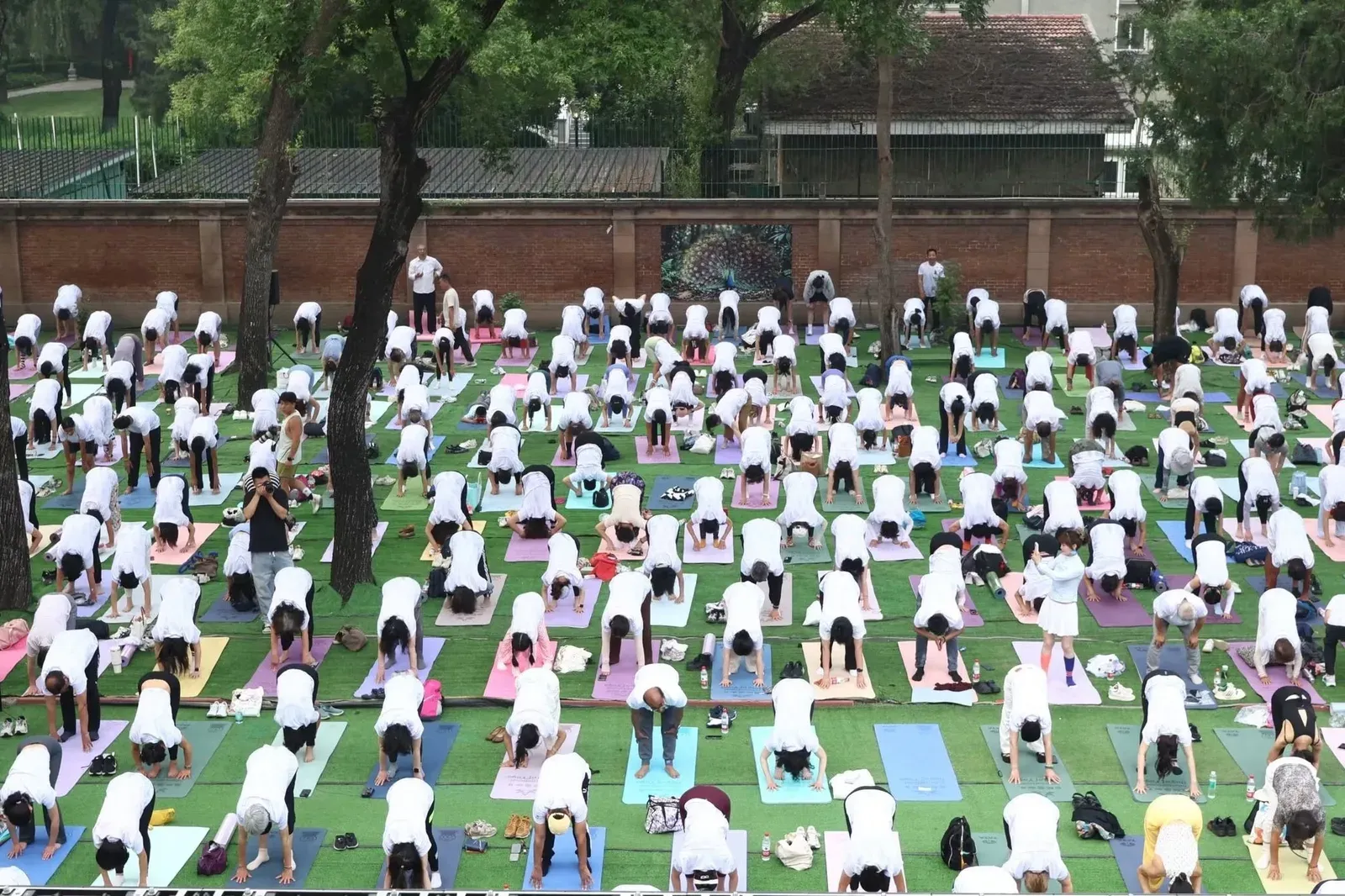 पेइचिंग में 12वाँ अंतरराष्ट्रीय योग दिवस: 'योग फॉर हेल्दी एजिंग' थीम पर भारतीय दूतावास में भव्य आयोजन